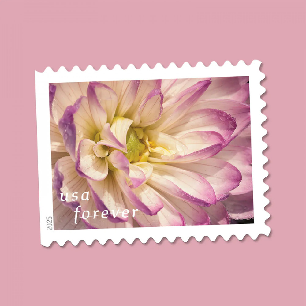 (2025) Dahlias Stamps Book of 20