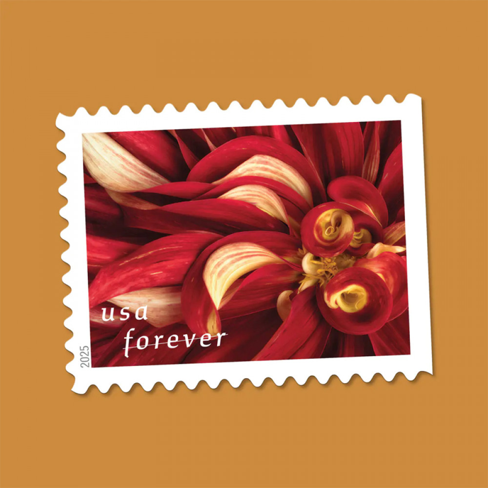 (2025) Dahlias Stamps Book of 20