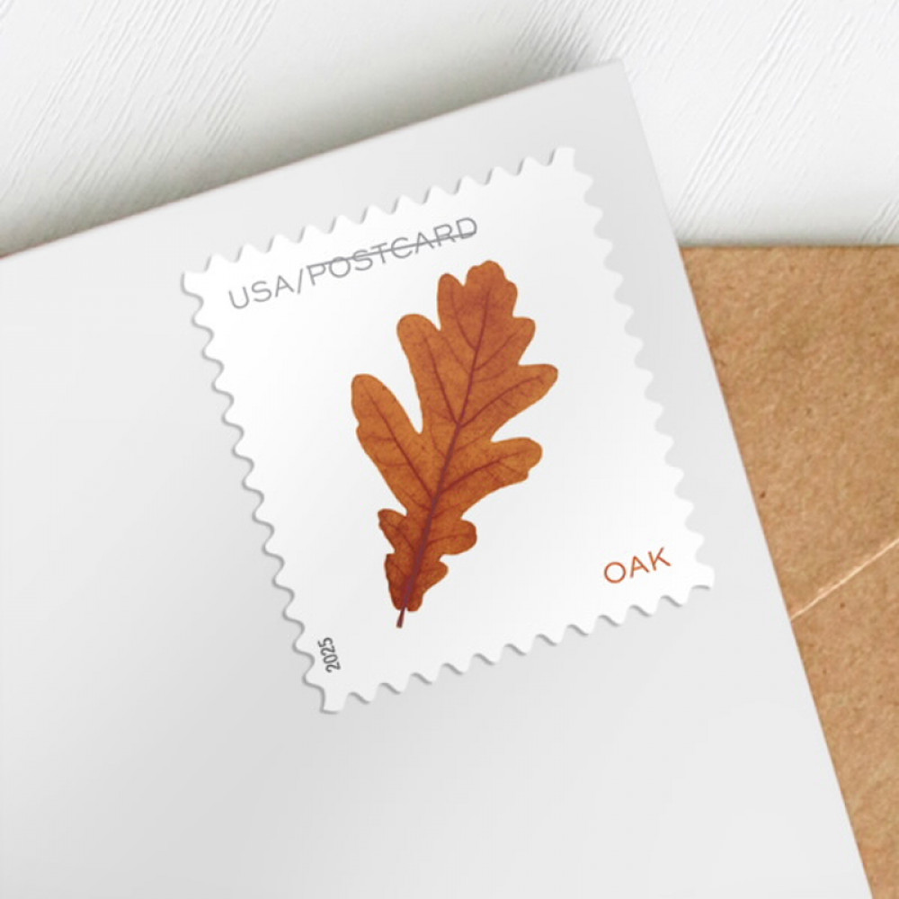 (2025) Vibrant Leaves Postcard Stamps, Sheet of 20 | Multiple Stamp Designs and Formats