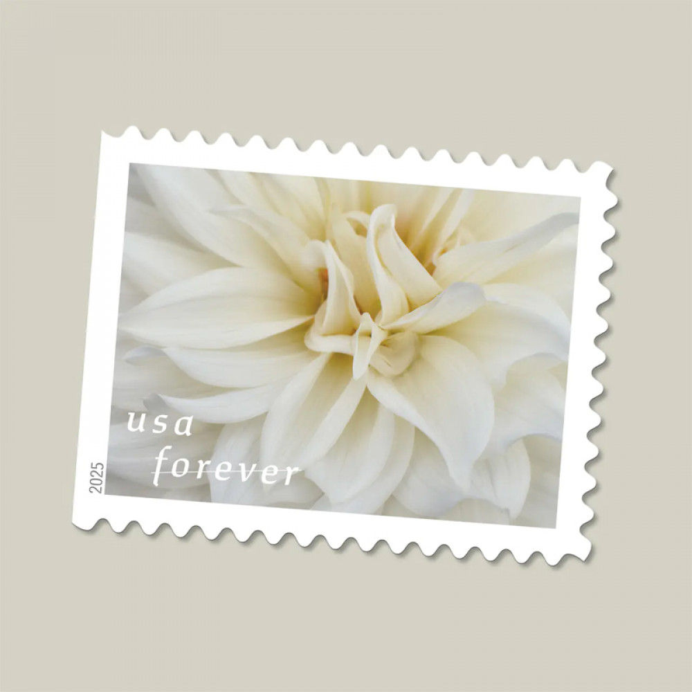 (2025) Dahlias Stamps Book of 20