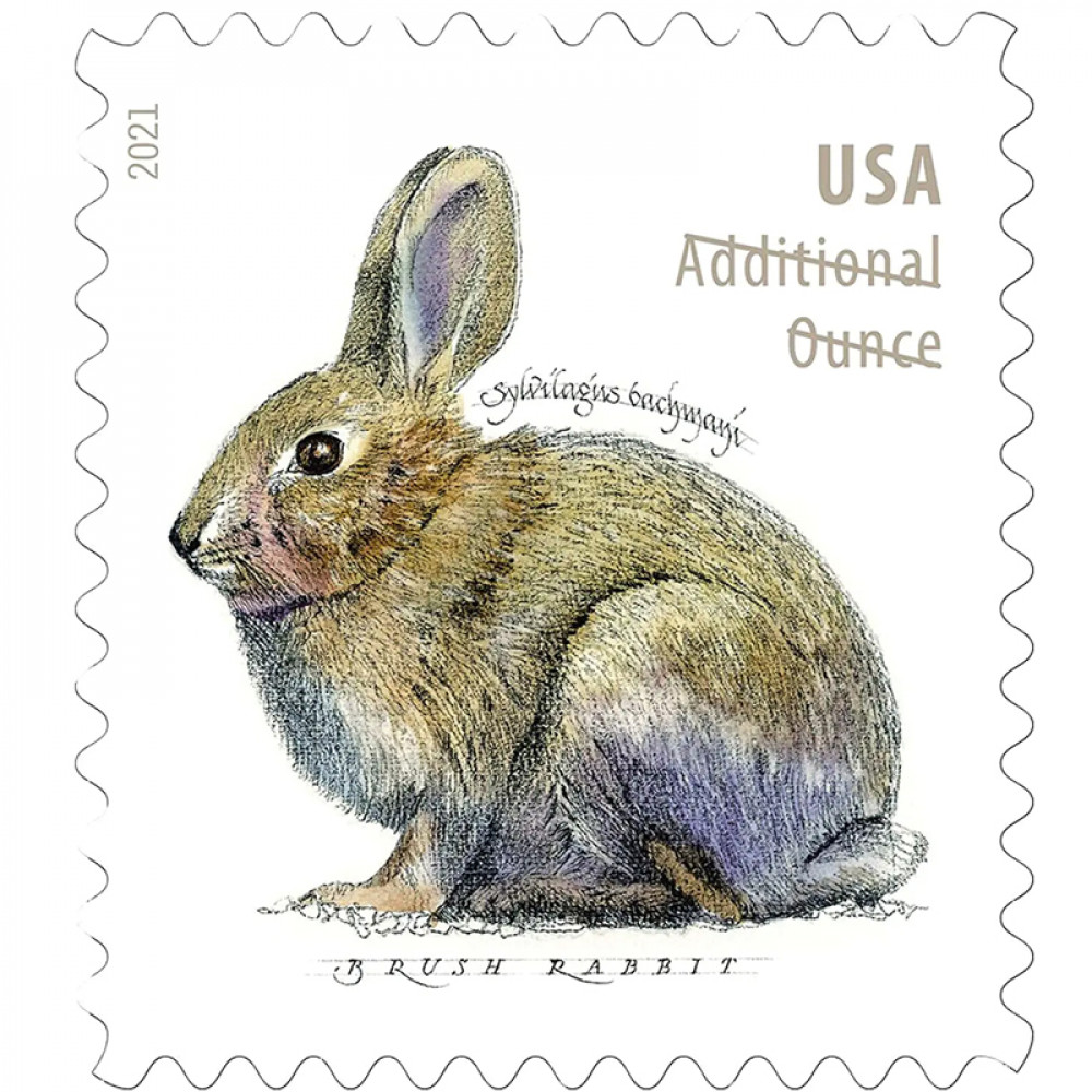 (2021) Brush Rabbit Additional Ounce Forever Postage Stamps