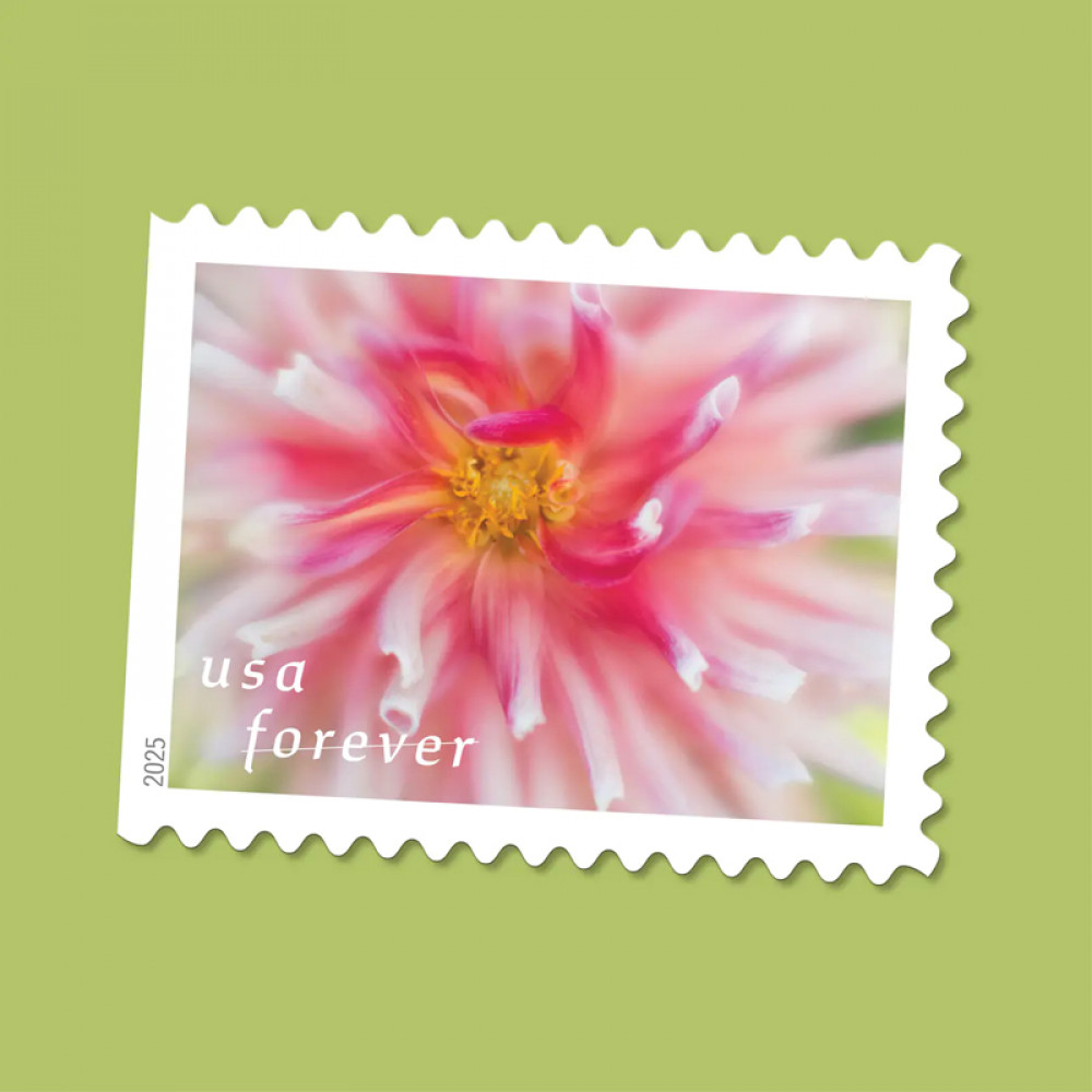 (2025) Dahlias Stamps Book of 20